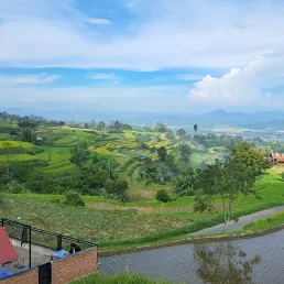 Galeri